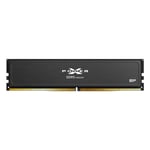 RAM-minne Silicon Power SP032GXLWU60CFDJ 32 GB DDR5 6000 MHz CL36