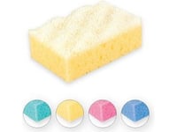 Top Choice Bath Sponge "S" Mix Of 4 Colors (30413)