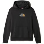 Sweat-shirt enfant The North Face  Pull Light Drew Peak Hoodie Junior Asphalt Grey/Summit Gold