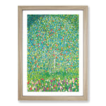 Big Box Art Apple Tree by Gustav Klimt Framed Wall Art Picture Print Ready to Hang, Oak A2 (62 x 45 cm)