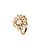 Love Palette Ring Guld Rutile