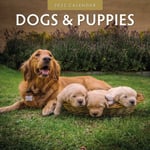 Dogs &amp; Puppies 2025 Square Wall Calendar