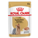 Royal Canin Yorkshire Terrier Adult Mousse - 12 x 85 g