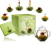 Blooming Tea Gift Set - 6 Flowering Teas with 500ml Glass Teapot - Green Tea