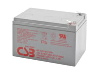 Csb Battery Hr 1251W High-Rate Hr1251wf2 Blybatteri 12 V 12 Ah Blyfilt (B X H X D) 151 X 100 X 98 Mm Platt Kontakt 6,35 Mm Underhållsfritt, Låg Självurladdning