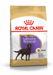 Labrador Retriever Sterilisert tørrfôr for voksne hunder 12 kg - Hund - Hundefôr - Royal Canin