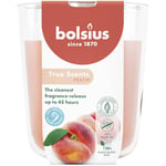 Bolsius True Scents - Pêche - Orange - Lot de 6 Bougies Parfumées - 9,7 x 8,5 cm - Durée de combustion: 45 heures - Avec extraits naturels - Cire végétale naturelle - Sans huile de palme