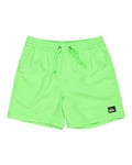 Quiksilver Garçon Everyday Solid Volley YTH 14 Maillot De Bain, Green Gecko, 16 Ans EU