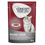 Ekonomipack: Concept for Life 48 x 85 g Maine Coon Adult (ragout)
