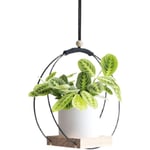 Hängande planter med träbas, Macrame hängande växtkruka, Dekorativ blomkrukahållare, Växt hängande kruka för vägg, fönster, Boho heminredning black