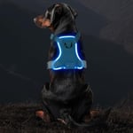 Light Up Dog Harness, Rechargeable LED Dog Harness for Puppy Small Medium Large Dog, 3 Lighting Modes Glowing in the Dark Dog Harness Adjustable Waterproof for Night Walking(Blue M)