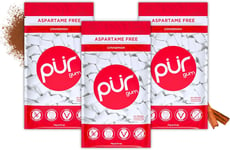 100% Xylitol Chewing Gum, Sugarless Cinnamon, Sugar Free + Aspartame Free + Glut