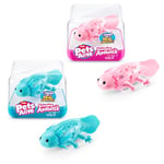 Pets Alive Robo Axolotl, Series 1, Swimming Axolotl, (2 Pack), Mailer Box