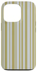 iPhone 13 Pro Gold and Grey Platinum striped Pattern Case