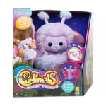 Curlimals Flutter Wonders Bella Bear Teddy Bear, Interactive Cute Plush Butterfly with 100+ Sounds, Movements & Lights. Age 3+