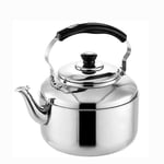 Théière Théière en Acier Inoxydable Ergonomique en Acier Inoxydable, Délicieusement Polie, Convient À La Cuisine Et À La Salle À Manger 4L / 5L / 6L (Taille: 3L) Cadeau Parfait