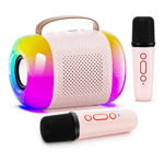 Karaoke Machine for Kids and Adults, Portable Bluetooth Speaker with 2 8809