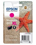 Epson Singlepack Magenta 603XL Ink