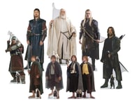 Lord Of The Rings Fellowship Cardboard Cutout Set of 8