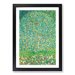 Big Box Art Apple Tree by Gustav Klimt Framed Wall Art Picture Print Ready to Hang, Black A2 (62 x 45 cm)