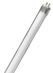 WatioWave Tube LED T5 verre 5 W 6500 K 302 mm F-BRIGH