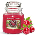 Yankee Candle Scented Candle | Red Raspberry Medium Jar Candle| Burn Time: Up to 75 Hours