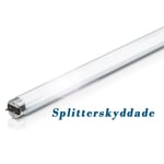 Philips Master TL-D Secura T8 Splitterskyddade (840 Kallvit 36W)