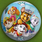 Kids PAW Patrol Play Ball 23cm