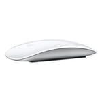 Apple Magic Mouse - mus - USB-C - Bluetooth - vit