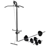 Wall-mounted Power Tower with Barbell and Dumbbell Set 30.5 kg vidaXL