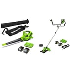 Greenworks 2x24V Aspirateur Souffleur sans Fil de Feuilles à Batterie Bandoulière & 2x24V Coupe-Bordure & Débroussailleuse avec 2 Batteries 4Ah et Chargeur, 38cm Fil 25cm Lame