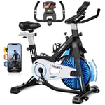 LABGREY Vélo d'Appartement, Vélo de Fitness d'Exercice d'Intérieur Silencieux avec Écran LCD, Guidon et Siège Réglables, Résistance Ajustable pour l'Entraînement Cardio à la Maison (Magnétique)