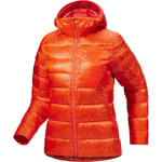 Arc'teryx Cerium SV Hoody Dame