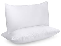 Utopia Bedding Coussins de Garnissage 40 x 80 cm (Lot de 2), Coussin à Recouvrir, Oreillers Intérieur, Rembourrage Coussins (Blanc)