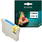 Epson tulostimen mustekasetti 802 cyan , 14 ml , 470 sivua , C13T0808024010 / T0802 , yhteensopiva PX660 R285 RX585 PX710 kanssa.