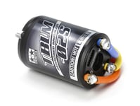 Tamiya 54894 TBLM-02S Brushless Motor 02 (Sensored) 17.5T (TT01/TT02/XV-01), NIB