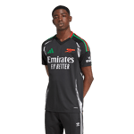 Arsenal Away Jersey 2024/25, fotballdrakt, herre