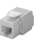 Pro Keystone module RJ45 CAT 6A UTP light gray