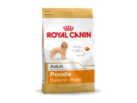 Royal Canin Poodle Adult, Vuxen, Pudel, Mini (5 - 10Kg), X-Small (<4Kg), 1,5 Kg