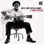 Big Joe Williams  I Got Wild  CD