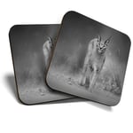 2 x Coasters (BW) - Caracal African Lynx Cat  #38978