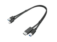 Lenovo Dual Head - display / USB-kabelsett - USB-type A  DisplayPort til USB Type B  Mini DisplayPort - 43 cm