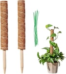 Lot de 2 tuteurs en fibre de coco, tuteur pour plantes grimpantes, poteau en fibre de coco pour plantes grimpantes de jardin à domi