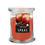 Spaas Bougie parfumée en bocal de ménage, ± 60 heures - Apple Cinnamon 0547016.181 D 91 x H 100 mm Orange Gingembre