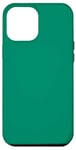 Coque pour iPhone 15 Plus Couleur vert émeraude