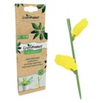 Green Protect Plante Insektsfelle - 1 Pakker