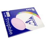 Clairefontaine Lot de 10 Ramettes 50 Feuilles Papier 160g A4 210x297 mm Certifié FSClilas