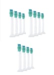 Philips Sonicare sähköhammasharjan päät, 12 kpl. Analoginen