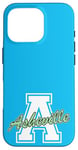 iPhone 16 Pro Retro Asheville Land of the Sky Case