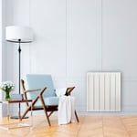 Radiateur électrique à inertie sèche HJM Kiana 1000W